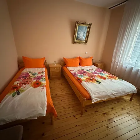 Къща за гости Velkovski *